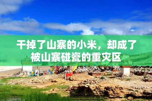 干掉了山寨的小米，却成了被山寨碰瓷的重灾区