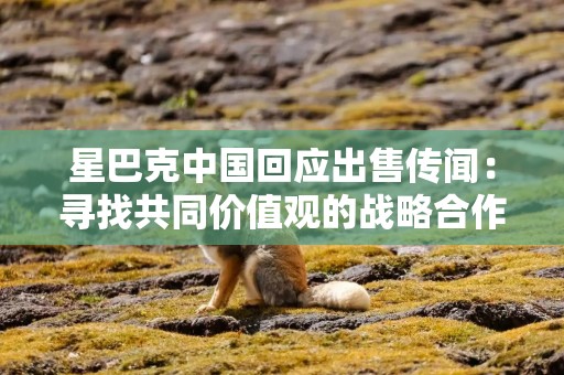 星巴克中国回应出售传闻：寻找共同价值观的战略合作伙伴