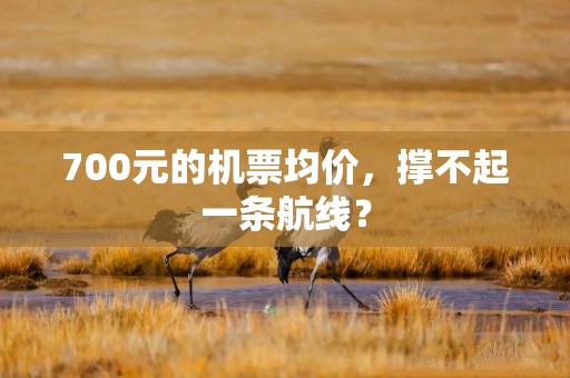 700元的机票均价，撑不起一条航线？