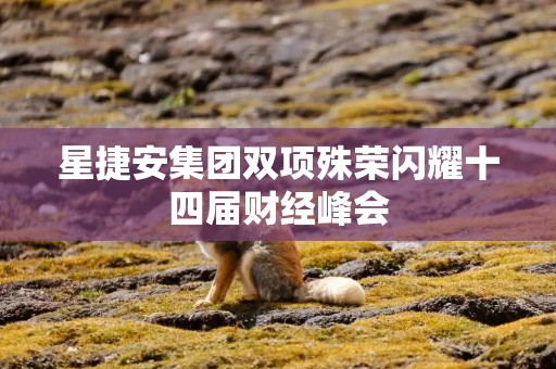 星捷安集团双项殊荣闪耀十四届财经峰会