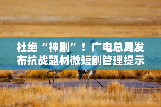 杜绝“神剧”！广电总局发布抗战题材微短剧管理提示
