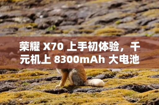 荣耀 X70 上手初体验，千元机上 8300mAh 大电池