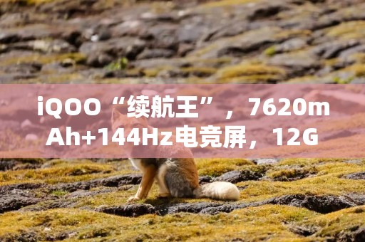 iQOO“续航王”，7620mAh+144Hz电竞屏，12GB+256GB才卖1444元