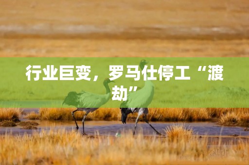行业巨变，罗马仕停工“渡劫”