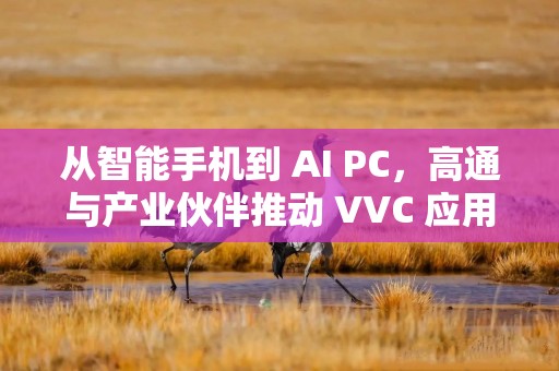 从智能手机到 AI PC，高通与产业伙伴推动 VVC 应用到更多终端