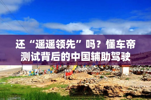 还“遥遥领先”吗？懂车帝测试背后的中国辅助驾驶