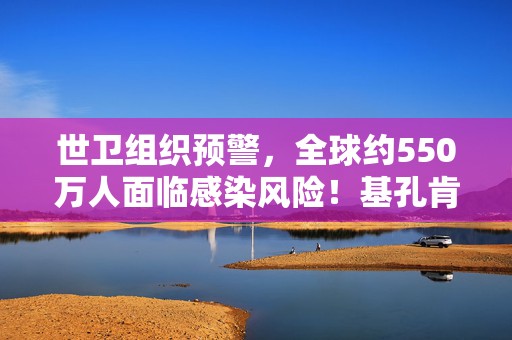 世卫组织预警，全球约550万人面临感染风险！基孔肯雅热关注度高涨，三大方向涉及公司曝光！