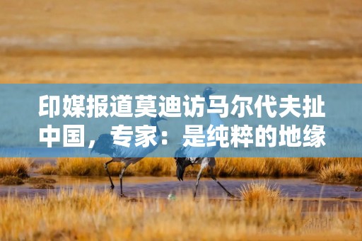 印媒报道莫迪访马尔代夫扯中国，专家：是纯粹的地缘政治对抗和零和博弈思维