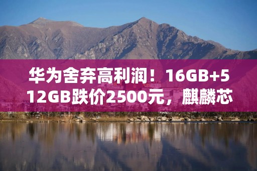 华为舍弃高利润！16GB+512GB跌价2500元，麒麟芯片+卫星通信+100倍变焦