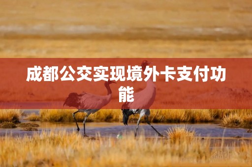 成都公交实现境外卡支付功能
