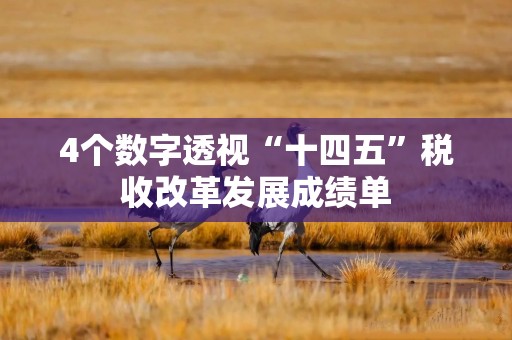 4个数字透视“十四五”税收改革发展成绩单