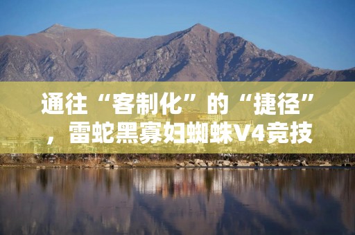 通往“客制化”的“捷径”，雷蛇黑寡妇蜘蛛V4竞技极速版体验