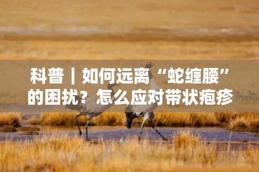 科普｜如何远离“蛇缠腰”的困扰？怎么应对带状疱疹？