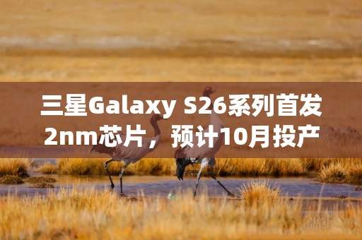 三星Galaxy S26系列首发2nm芯片，预计10月投产