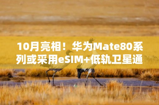 10月亮相！华为Mate80系列或采用eSIM+低轨卫星通信