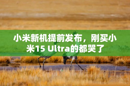 小米新机提前发布，刚买小米15 Ultra的都哭了
