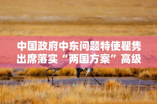 中国政府中东问题特使翟隽出席落实“两国方案”高级别会议