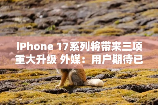 iPhone 17系列将带来三项重大升级 外媒：用户期待已久