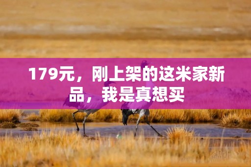 179元，刚上架的这米家新品，我是真想买