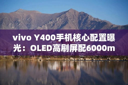 vivo Y400手机核心配置曝光：OLED高刷屏配6000mAh