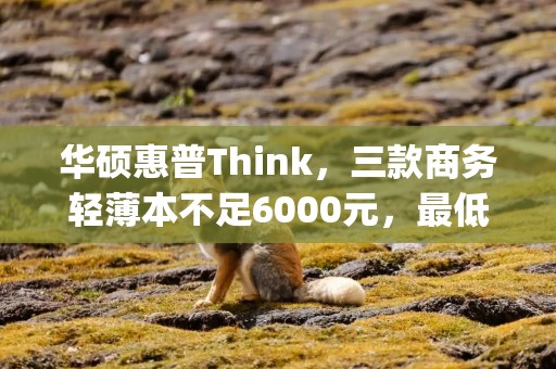 华硕惠普Think，三款商务轻薄本不足6000元，最低仅重1kg左右