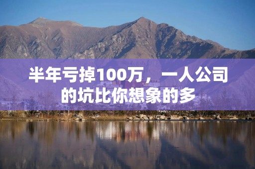 半年亏掉100万，一人公司的坑比你想象的多