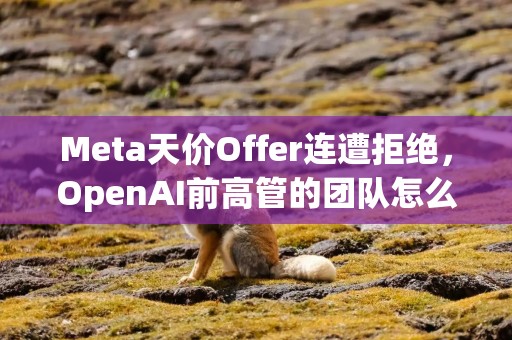 Meta天价Offer连遭拒绝，OpenAI前高管的团队怎么挖不动
