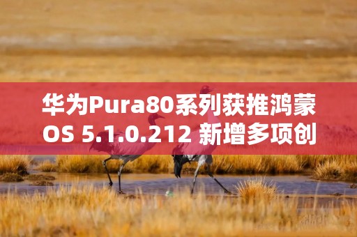华为Pura80系列获推鸿蒙OS 5.1.0.212 新增多项创意功能