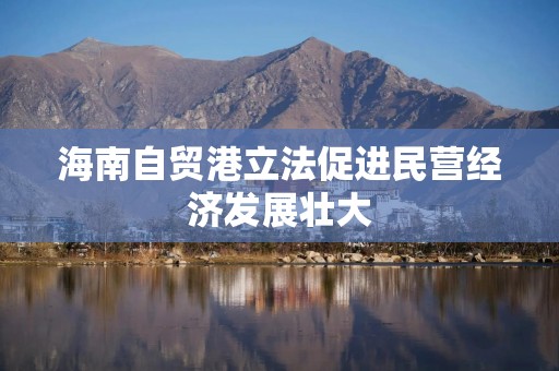 海南自贸港立法促进民营经济发展壮大