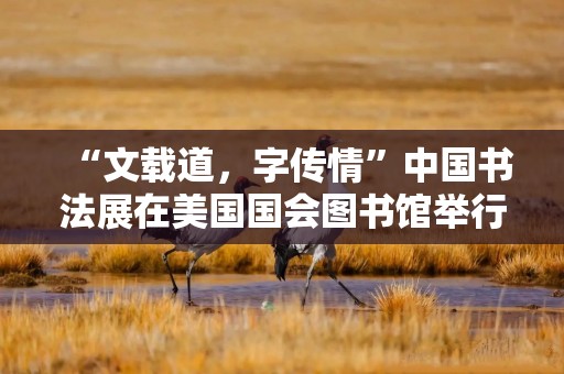 “文载道，字传情”中国书法展在美国国会图书馆举行
