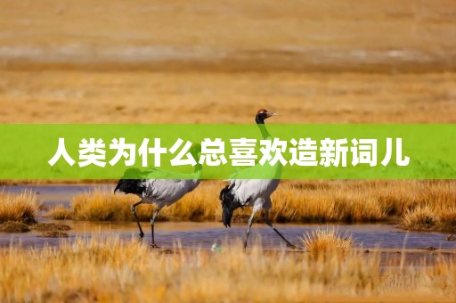 人类为什么总喜欢造新词儿