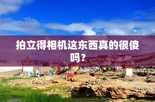 拍立得相机这东西真的很傻吗？