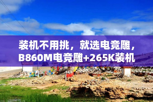 装机不用挑，就选电竞雕，B860M电竞雕+265K装机体验
