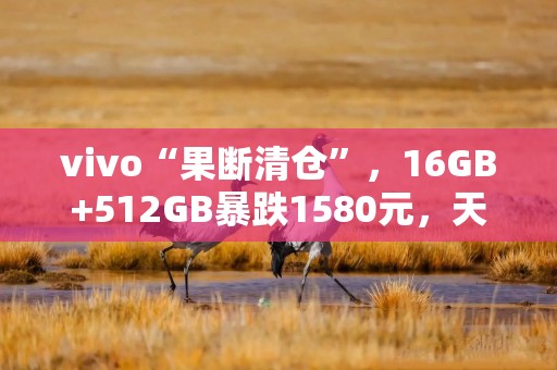 vivo“果断清仓”，16GB+512GB暴跌1580元，天玑9400+100倍变焦+100W闪充