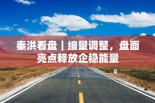 秦洪看盘｜缩量调整，盘面亮点释放企稳能量