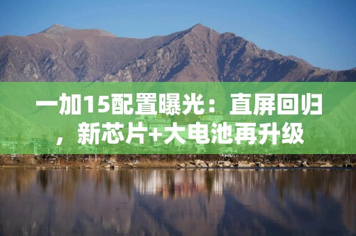 一加15配置曝光：直屏回归，新芯片+大电池再升级