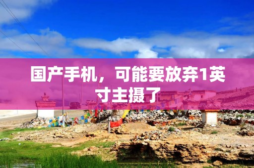 国产手机，可能要放弃1英寸主摄了