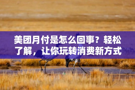 美团月付是怎么回事？轻松了解，让你玩转消费新方式