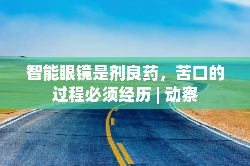 智能眼镜是剂良药，苦口的过程必须经历 | 动察