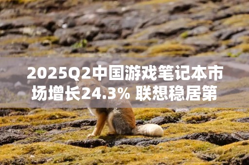 2025Q2中国游戏笔记本市场增长24.3% 联想稳居第一