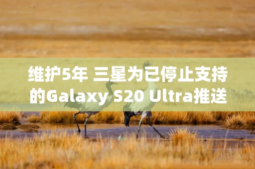 维护5年 三星为已停止支持的Galaxy S20 Ultra推送安全更新