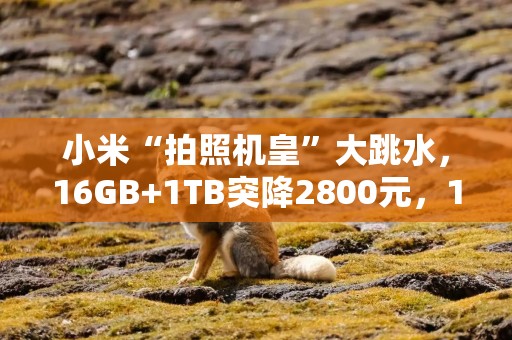 小米“拍照机皇”大跳水，16GB+1TB突降2800元，120倍变焦+2K屏+卫星通信