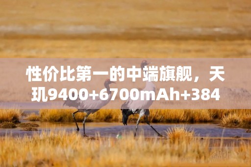 性价比第一的中端旗舰，天玑9400+6700mAh+3840Hz护眼屏，低至2039元