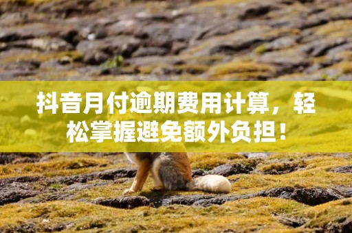 抖音月付逾期费用计算，轻松掌握避免额外负担！