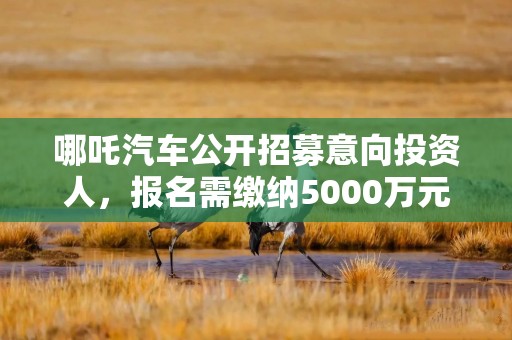 哪吒汽车公开招募意向投资人，报名需缴纳5000万元保证金
