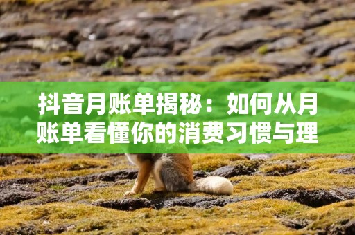 抖音月账单揭秘：如何从月账单看懂你的消费习惯与理财态度