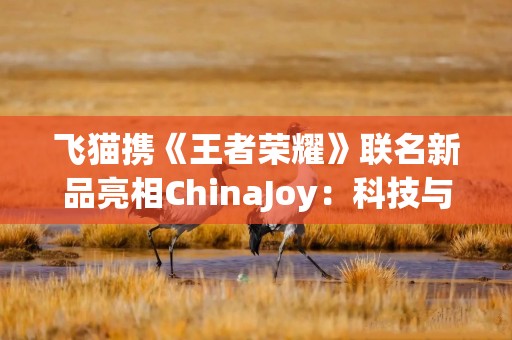 飞猫携《王者荣耀》联名新品亮相ChinaJoy：科技与潮流碰撞的随身WiFi新生态