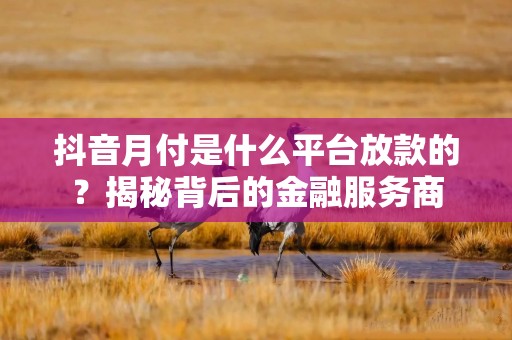 抖音月付是什么平台放款的？揭秘背后的金融服务商