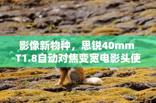 影像新物种，思锐40mm T1.8自动对焦变宽电影头使用感受分享