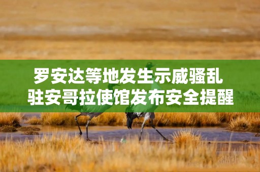 罗安达等地发生示威骚乱 驻安哥拉使馆发布安全提醒